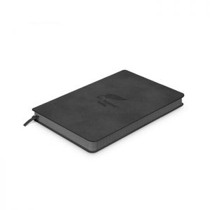 Demio Notebook